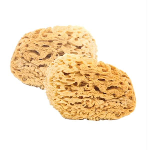 Natural BabyCare Sea Sponges