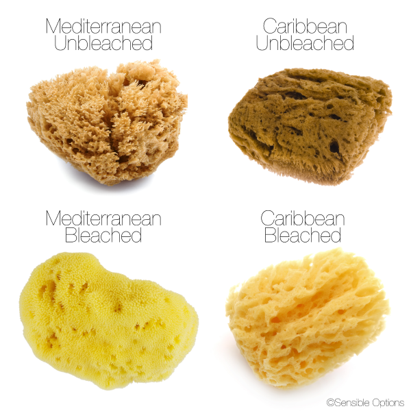 IntimateCare Sea Sponges - Mediterranean Fine Silk Sponges