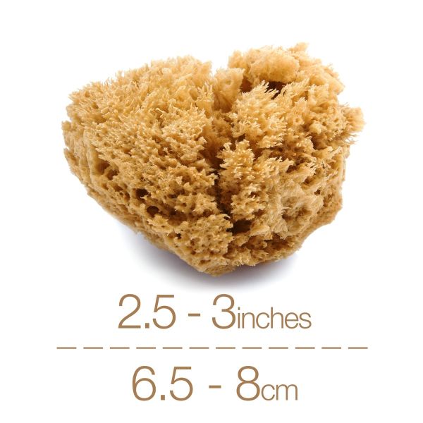 IntimateCare Sea Sponges - Mediterranean Fine Silk Sponges