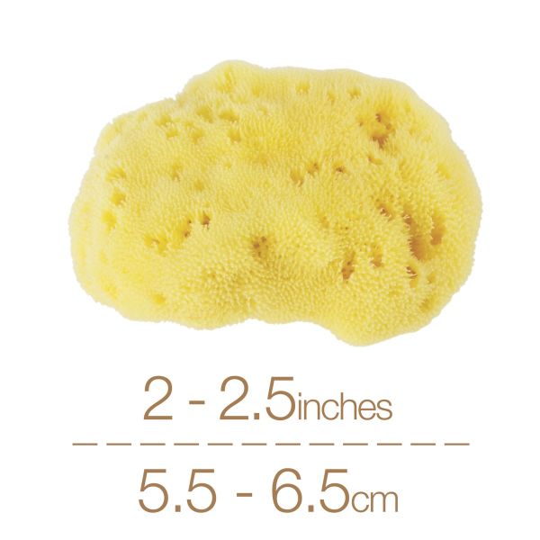 IntimateCare Sea Sponges - Mediterranean Fine Silk Sponges