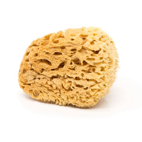 BodyCare Sea Sponge